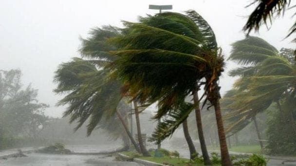 Contrata Quintana Roo póliza de seguro contra huracanes