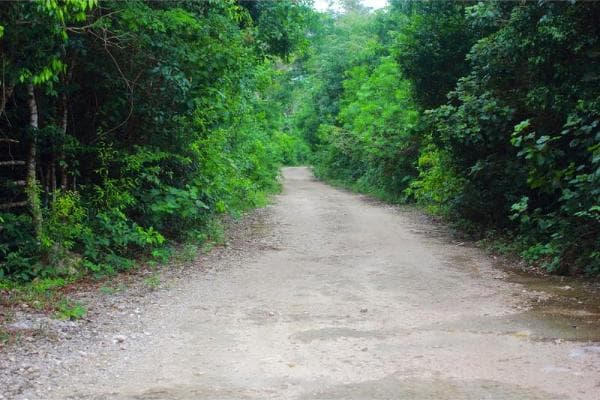 Dejan incomunicadas a cinco comunidades de Solidaridad