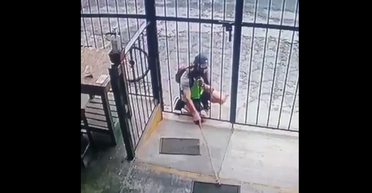 Video: ¡Se roba los tapetes anti Covid-19!