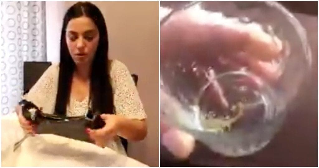 Joven compra bolso por internet y la pica un escorpión que venía dentro