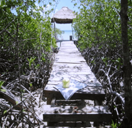 Denuncian supuesto relleno de manglar en Calderitas