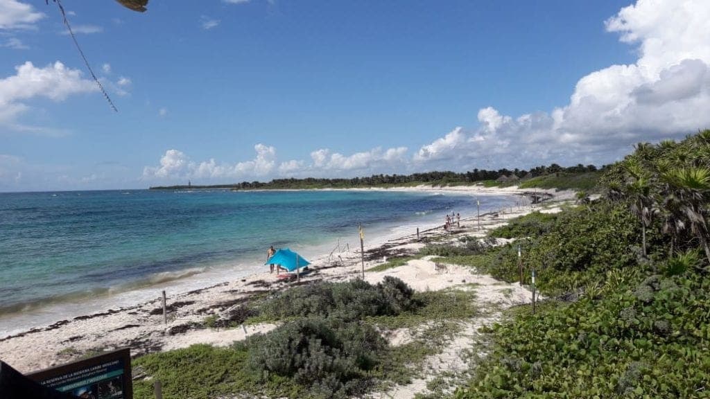 Recolectan 210 kilos de plástico y vidrio en Reserva de la Tortuga Marina en Tulum