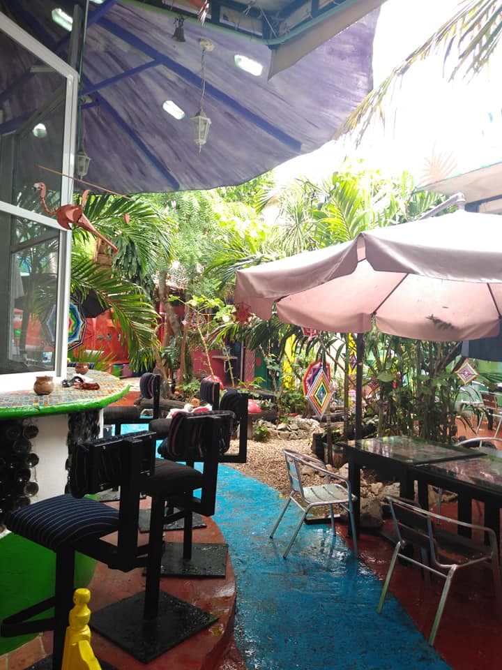 ¿Ya conoces El Hongo? Gastronomía y cultura en Playa del Carmen