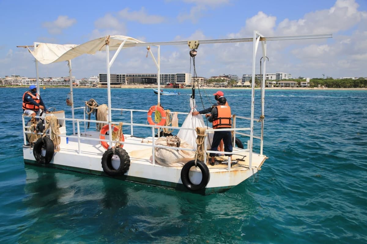 Protegen playas de Solidaridad con estrategias para combatir el sargazo