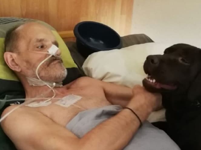 Le niegan la eutanasia y hombre decide transmitir su muerte en Facebook