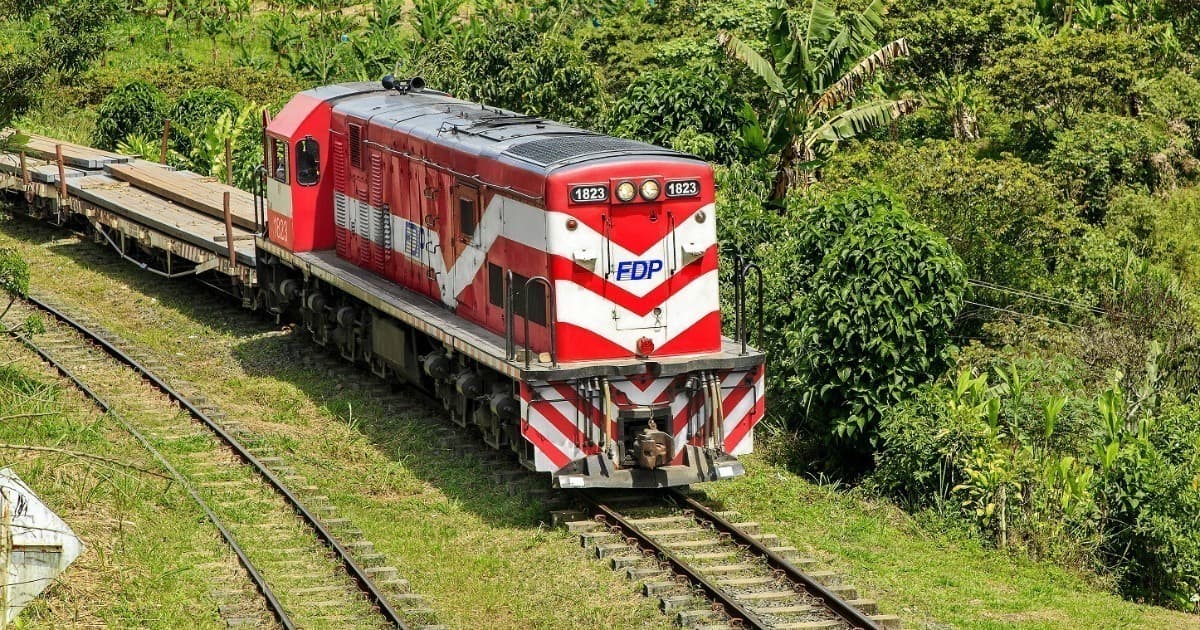 Biólogos de Quintana Roo rechazan el Tren Maya