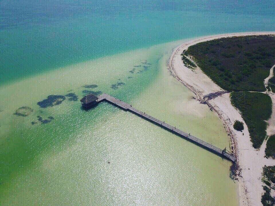 Desarrollos Inmobiliarios Xunaan arrebata predio a CONANP gracias a amparo