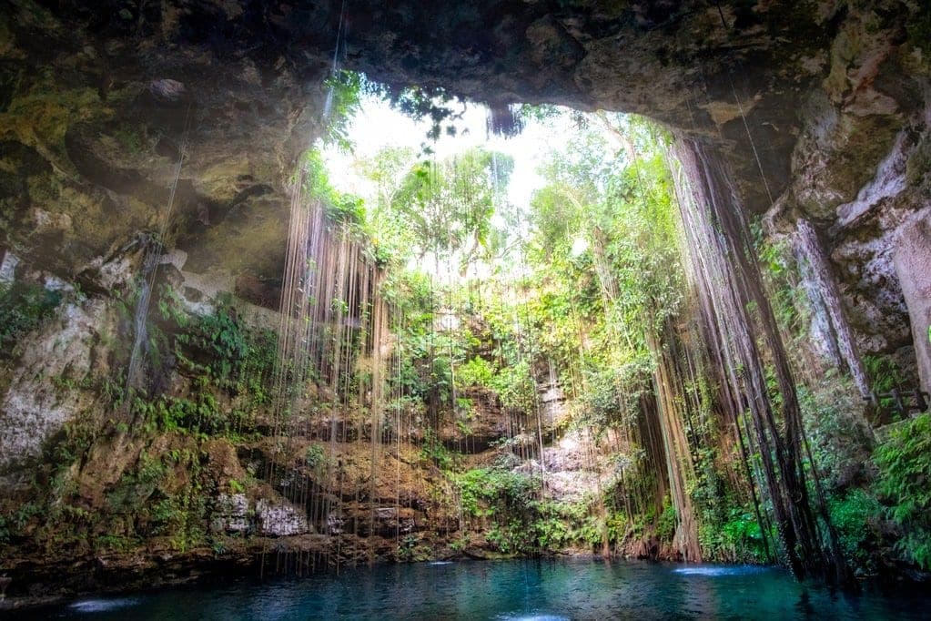 Los camarones de cuevas y cenotes pueden ayudar a preservar el ecosistema