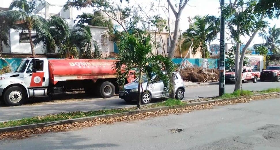 Atienden árbol caído contra cables de energía eléctrica en Playa del Carmen