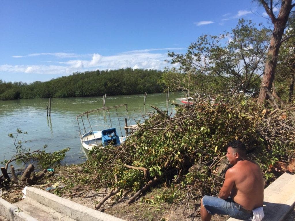 Talan manglar en Zona Hotelera de Cancún; querían aprovechar el paso de "Delta"