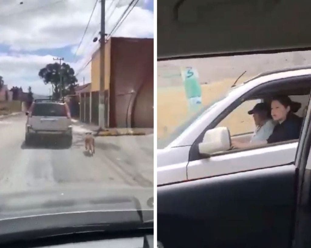 Graban a pareja arrastrando a perrita con una camioneta para "llevarla a vacunar"