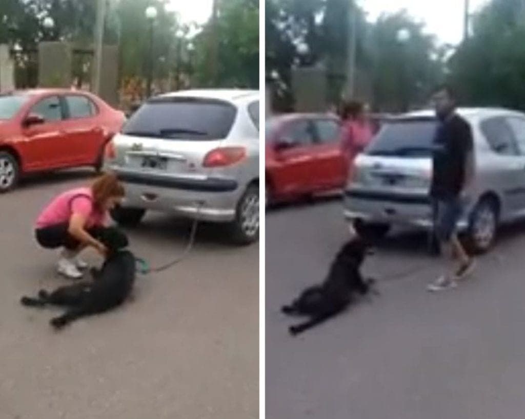 Mujer encadena a su perro al auto y lo arrastra varias cuadras por 'haberse escapado'