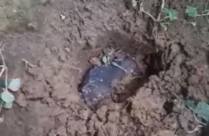 ¡La buena suerte! Cae meteorito en su casa y se vuelve millonario al venderlo