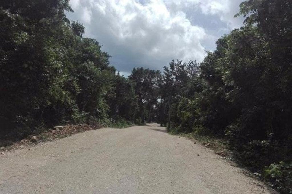 Aparece una mujer colgada de un árbol en José María Morelos