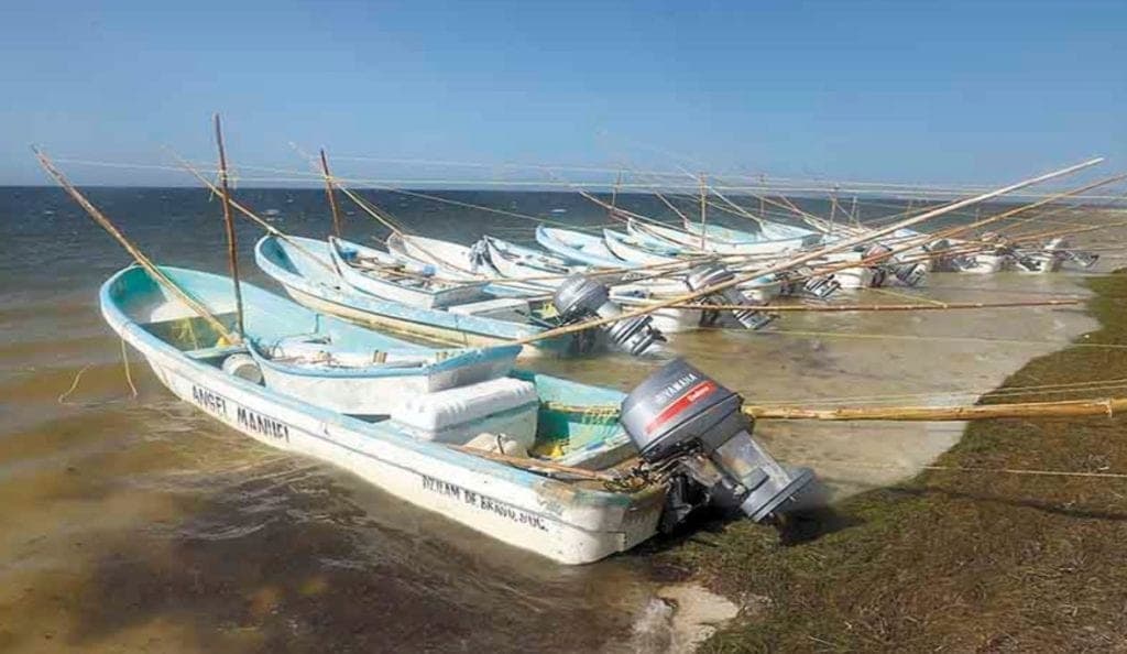 ¡Casi mueren! Se hunde lancha de pescadores por intenso oleaje en Santa Clara, Yucatán