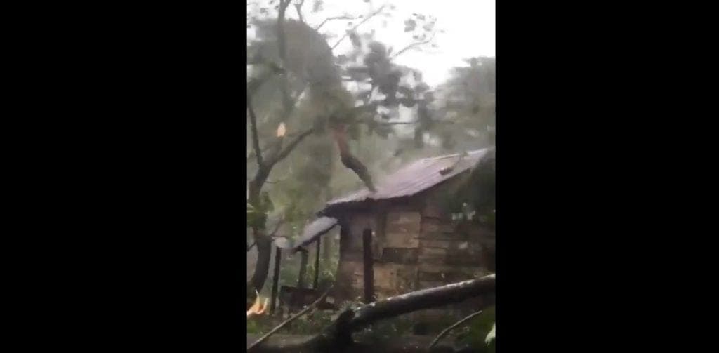 Video: Hombre lucha para que huracán "Eta" no arranque el techo de su vivienda