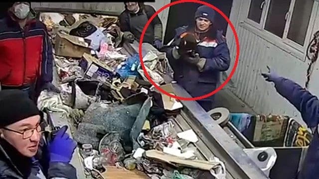 Video: ¡Basurero salva a gatito de trágico destino! Iba en una bolsa directo a la trituradora