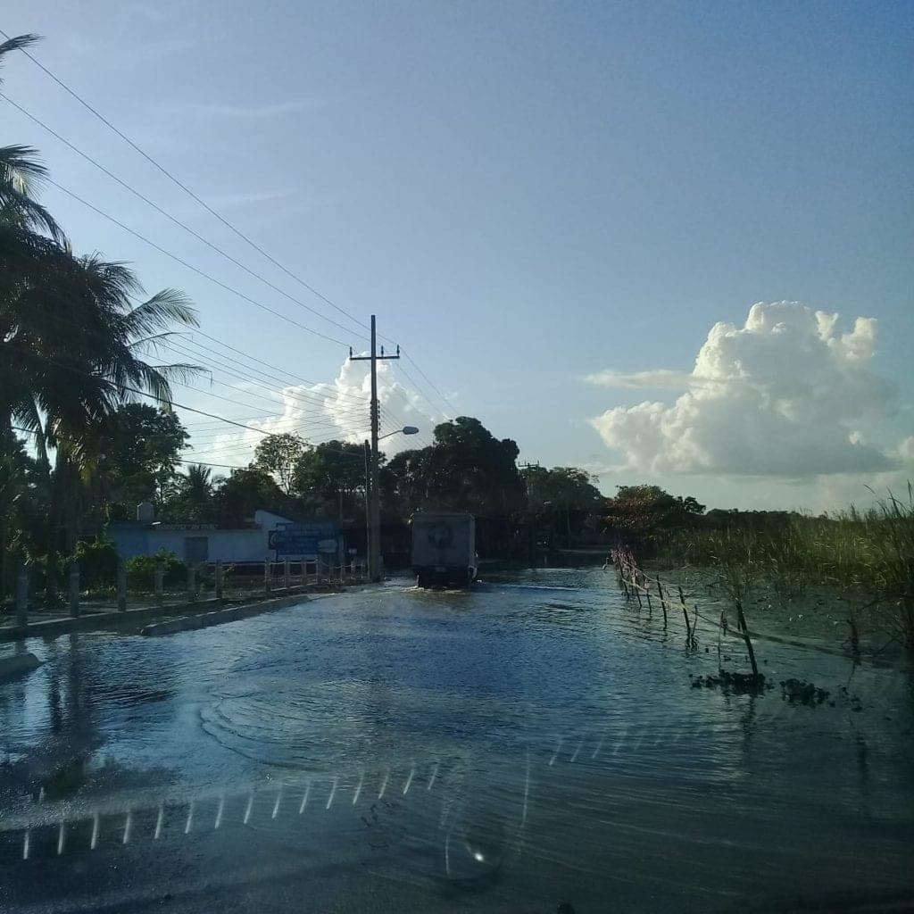Zona arqueológica de Cobá cerrará el año inundada y afectará al turismo