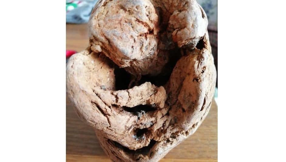 Sin saberlo, recogen una granada de la Segunda Guerra Mundial y les explota en su casa