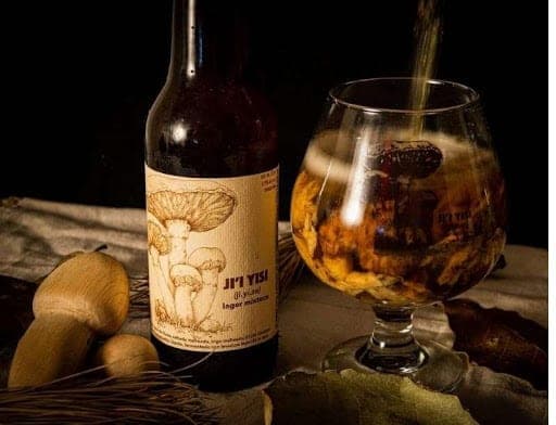 Conoce la primera cerveza hecha con hongo matsutake oaxaqueño
