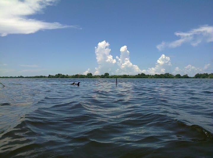 Contaminan transportistas reserva ecológica de Laguna Chacmochuch: PPA