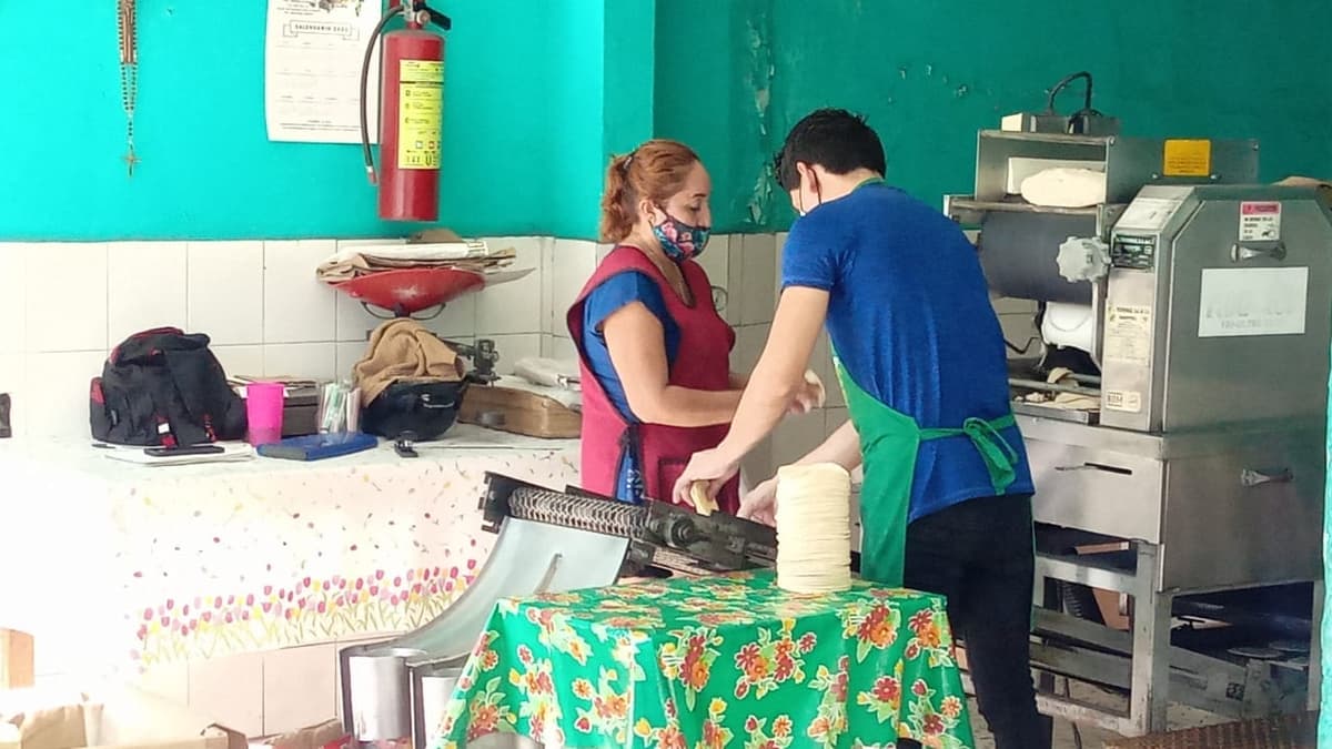 Aumentará dos pesos el precio de la tortilla en Cozumel
