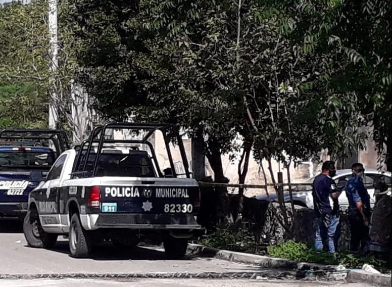 Hallan restos humanos en predio de Puerto Aventuras