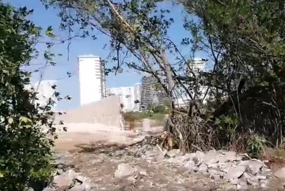 Fonatur, cómplice de ecocidio y delitos patrimoniales