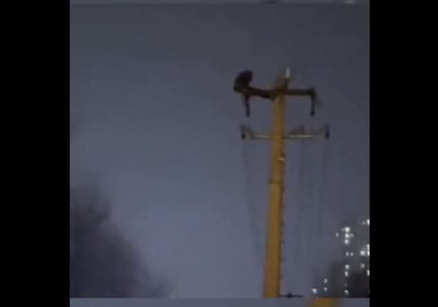 Video: Intenta ponerse a hacer ejercicio en un poste de electricidad, causa un apagón