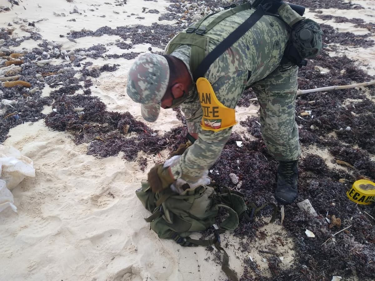 Sedena asegura cuatro kilos de presunta marihuana en Cozumel