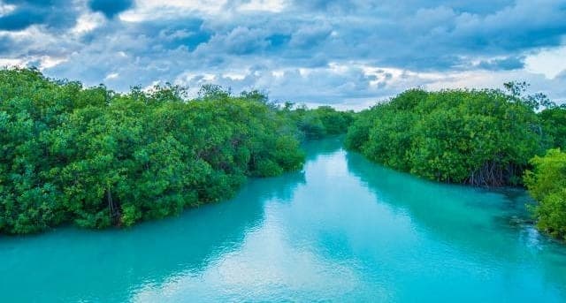 La pandemia paralizó a 15 de las 20  cooperativas turísticas de Maya Ka’an