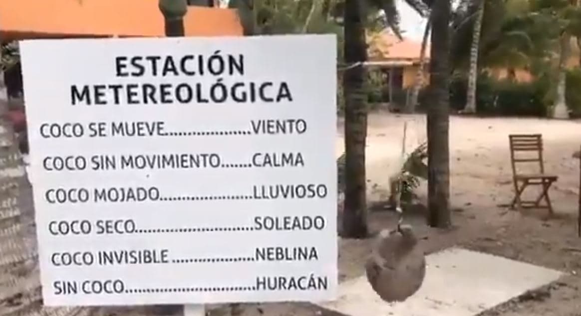 Video: ¿Quieres saber el clima? Un coco te da el estado del tiempo