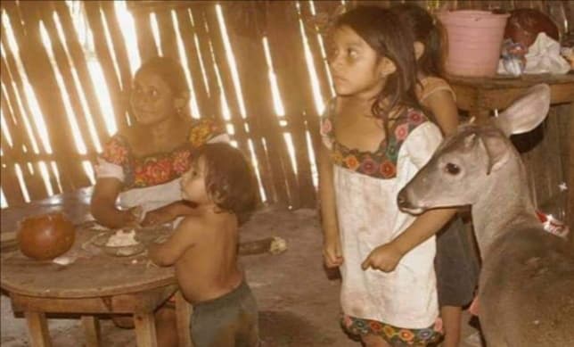 Con el Tren Maya buscan “cancunizar” a las comunidades indígenas, afirman