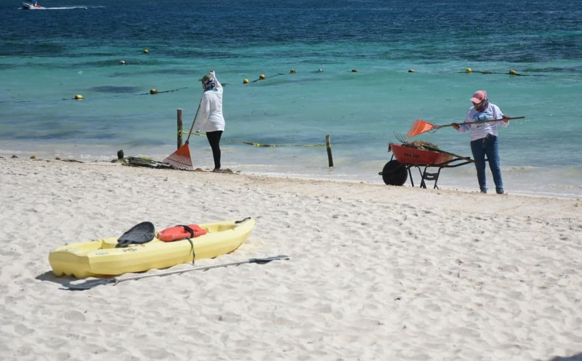Puerto Morelos listo para atender fenómeno del Sargazo, no bajarán la guardia pese a pandemia