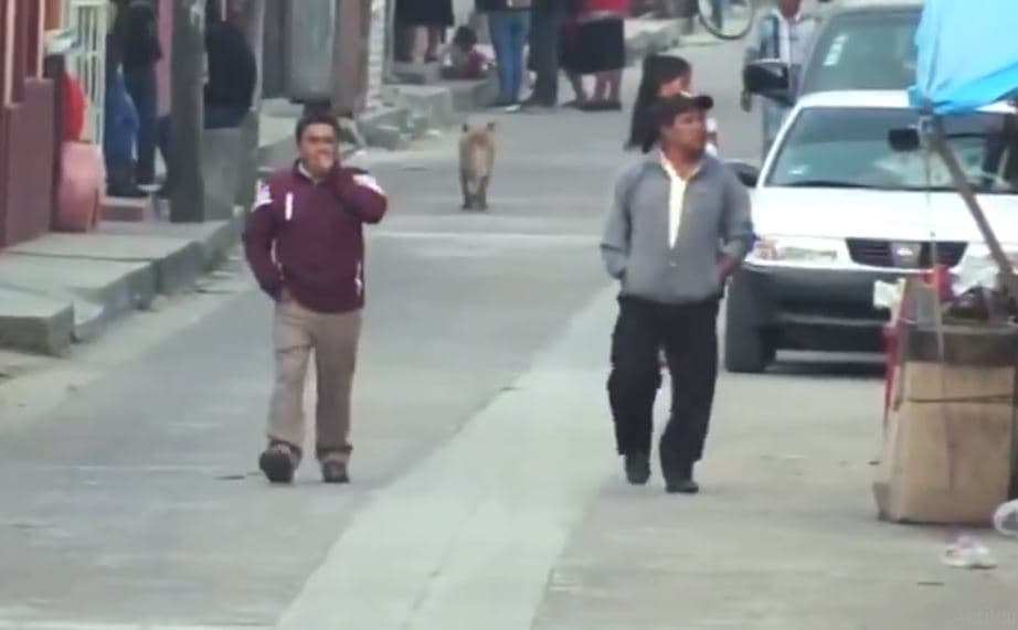 Rechazan aplicación de la vacuna contra el Covid-19 en Chiapas porque 'Dios los va a salvar'