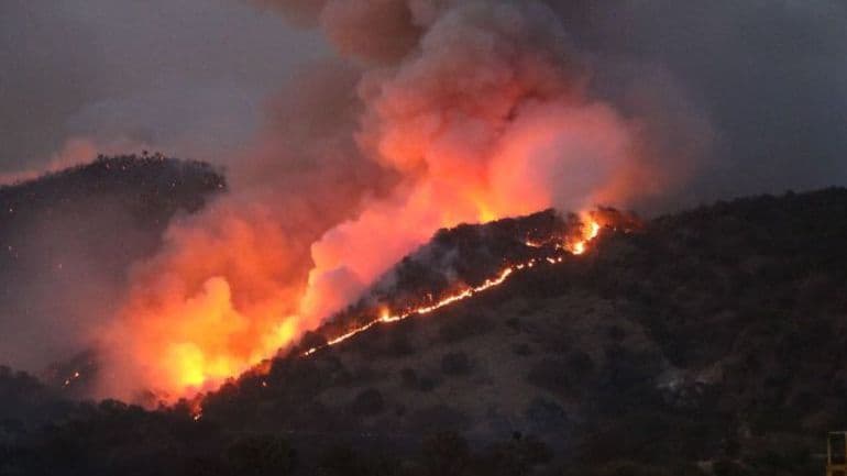 Reportan los primeros cinco incendios forestales en Oaxaca