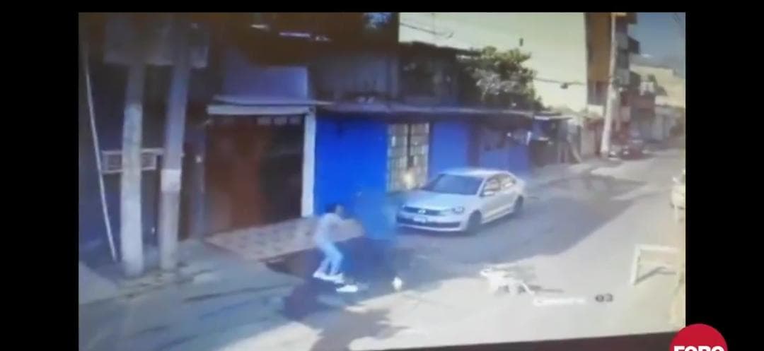 Video: Perro salva a una joven de sufrir un asalto en la Cdmx