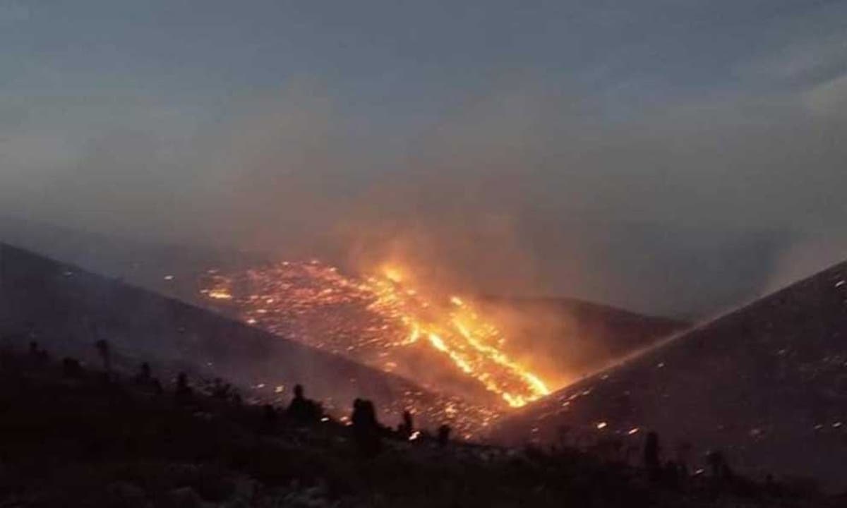 Urgente que Wirikuta se convierta en Área Natural Protegida Federal; incendios la están acabando