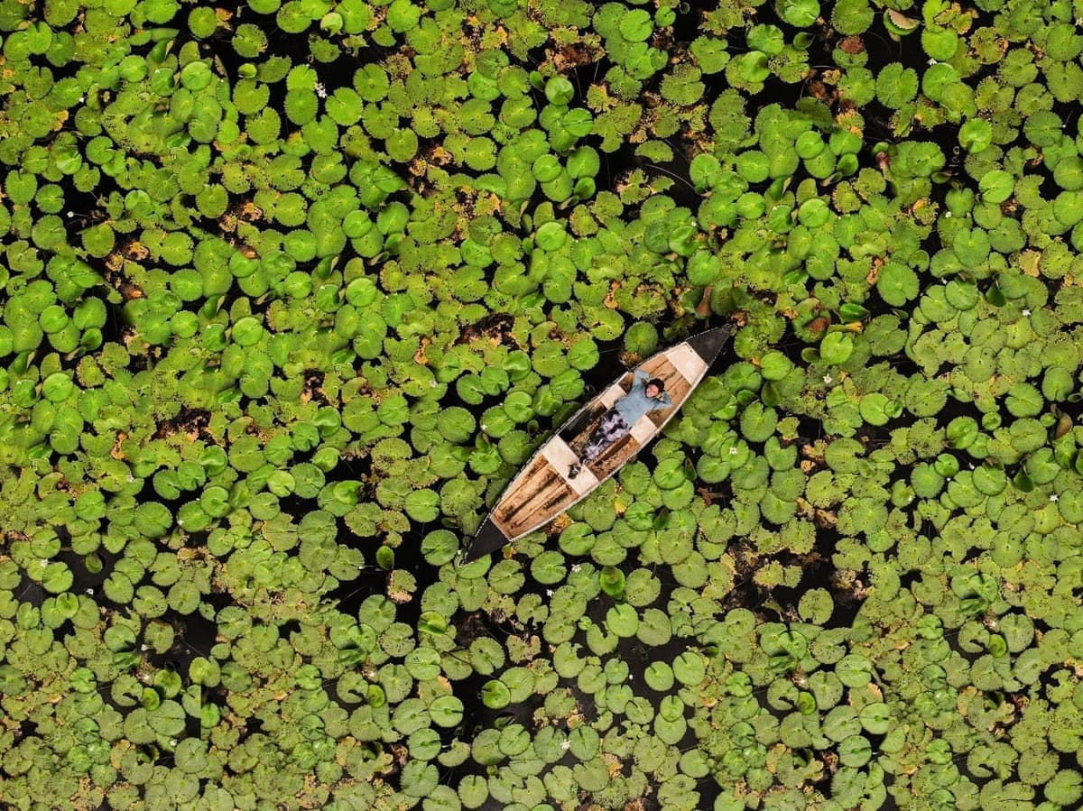 Reserva Nativa, la experiencia ecoturística y cultural que no te puedes perder