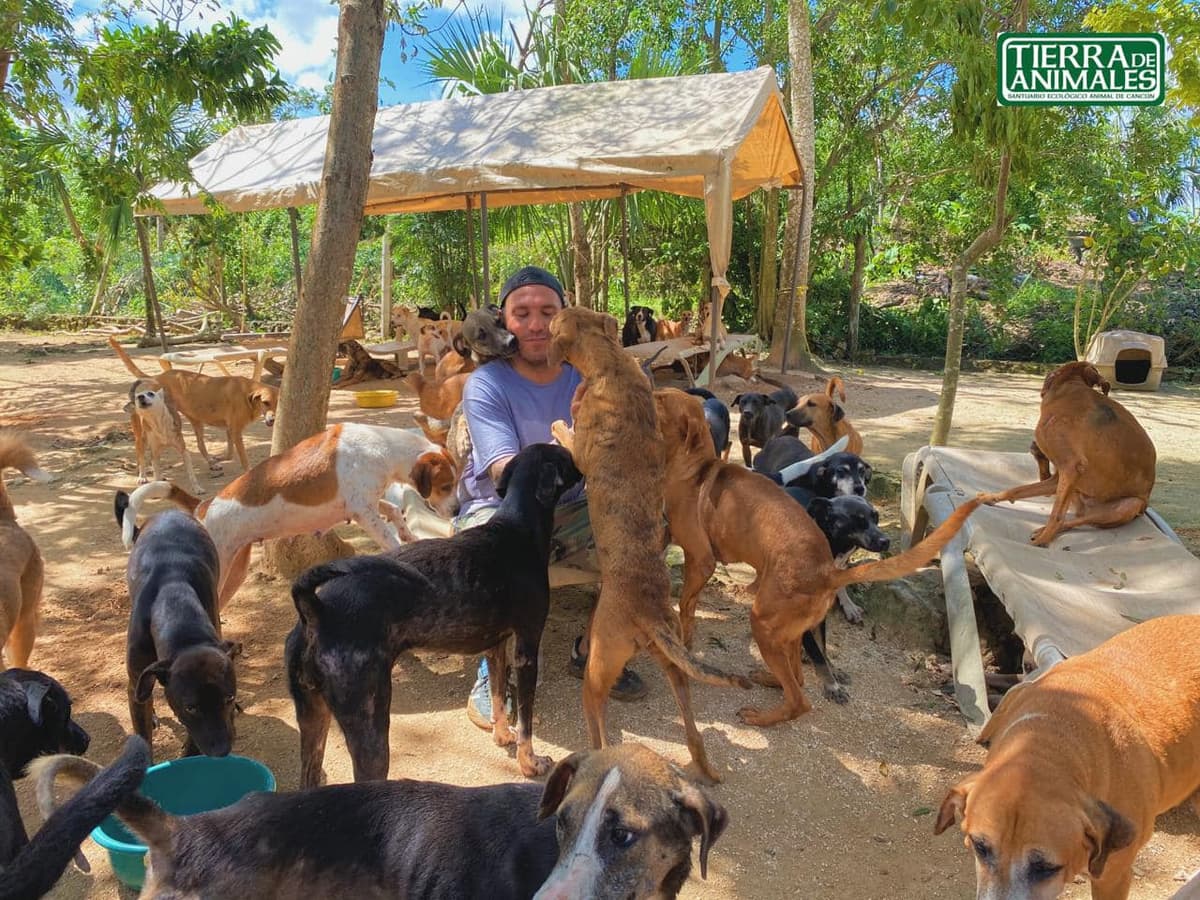 Amenazan al refugio Tierra de Animales; temen intento de despojo similar al de Crococun