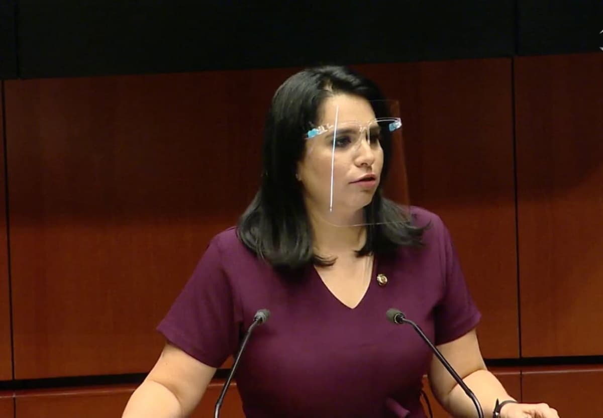 Inadmisible la presión del gobierno de Morena a jueces por la suspensión de la Reforma Eléctrica: Mayuli Martínez