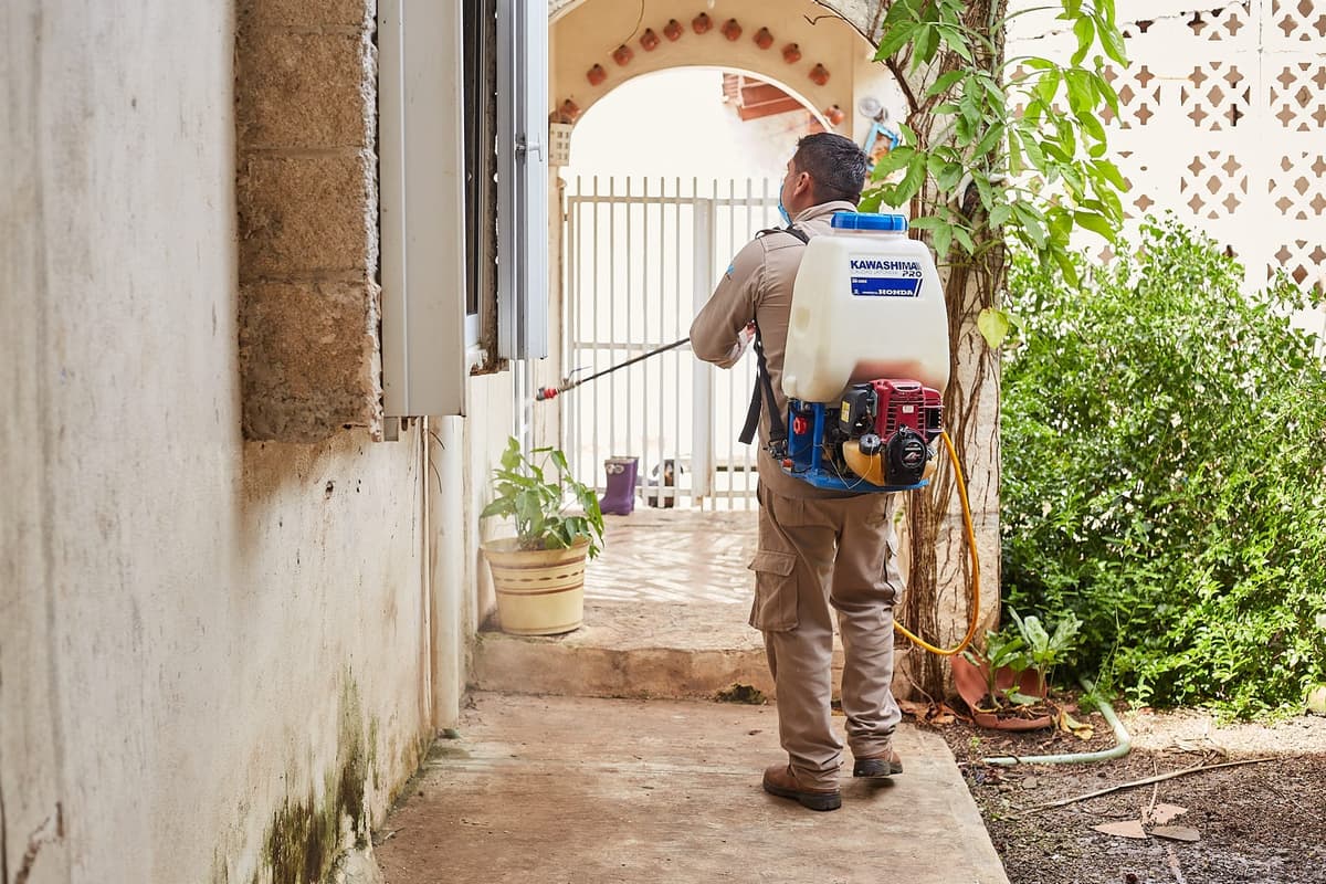 Realizan acciones preventivas contra el mosquito transmisor del dengue en la colonia 10 de Abril