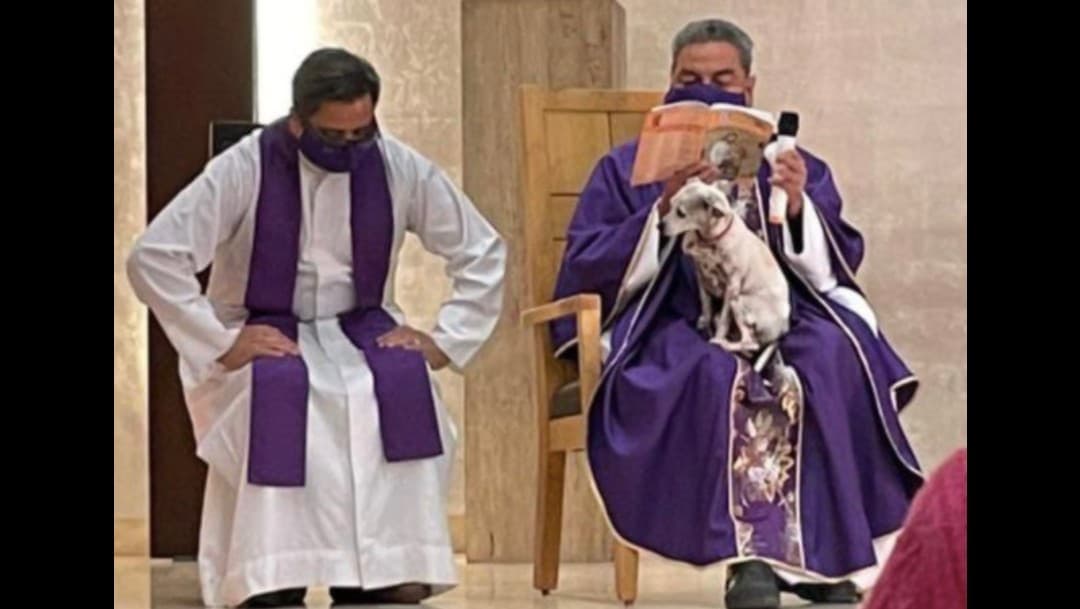Sacerdote cuida a su perrito mientras ofrece misa y se vuelve viral