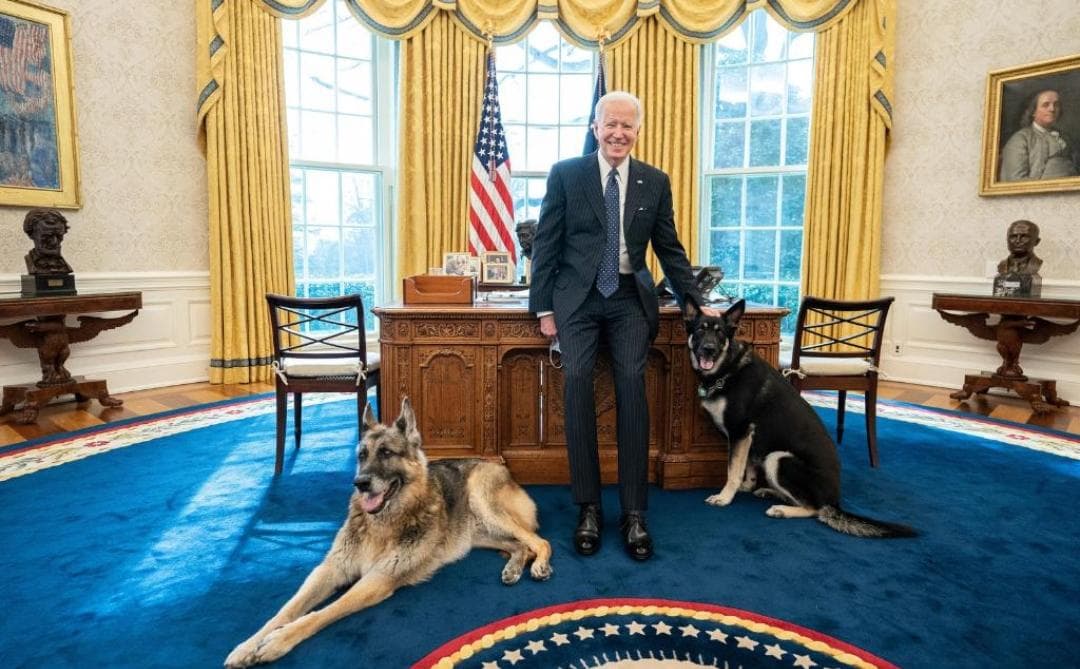 Perros de Joe Biden muerden a personal de la Casa Blanca; se los llevaron a Delaware