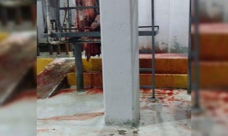 Suspenden de manera temporal el rastro de Chetumal