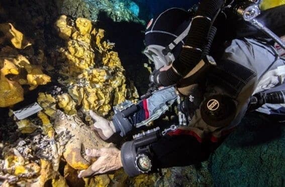 Advierten sobre graves impactos al sistema hídrico de Tulum por contaminación