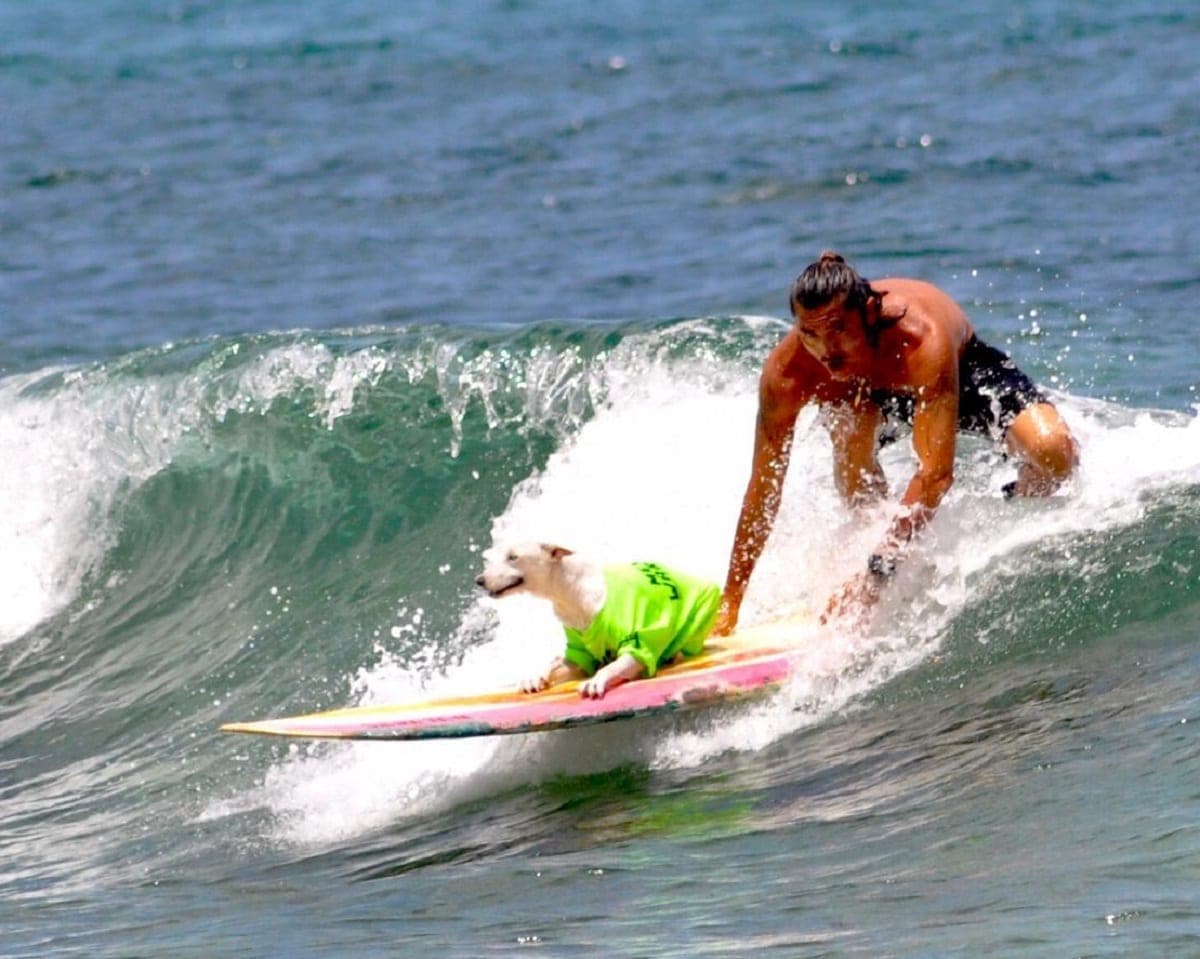 VIDEO: Así disfruta "Pixan" perrita surfista de la Escuela Cozumel Surfing