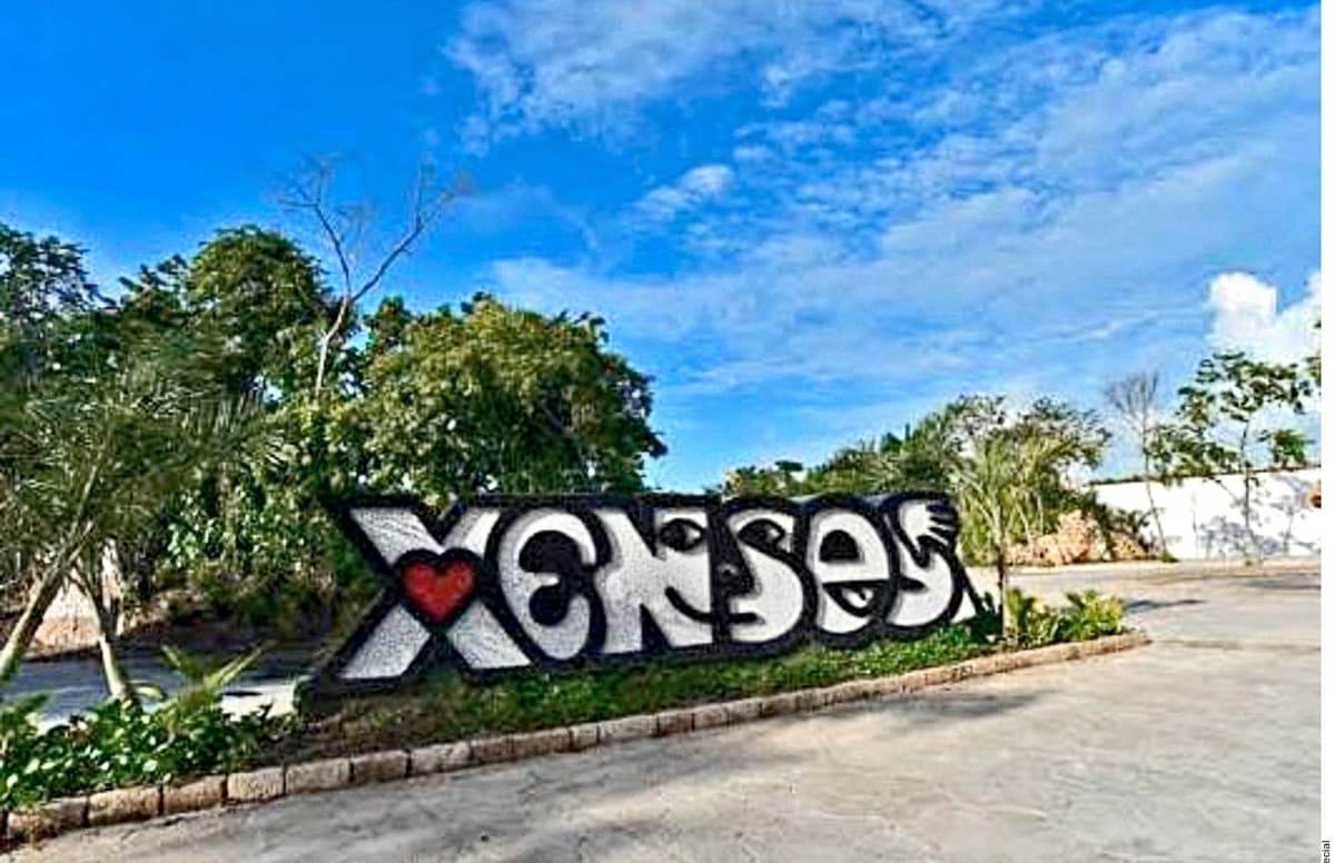 Exhiben irregularidades en la atención a Leo Luna tras siniestro en Xenses de Xcaret