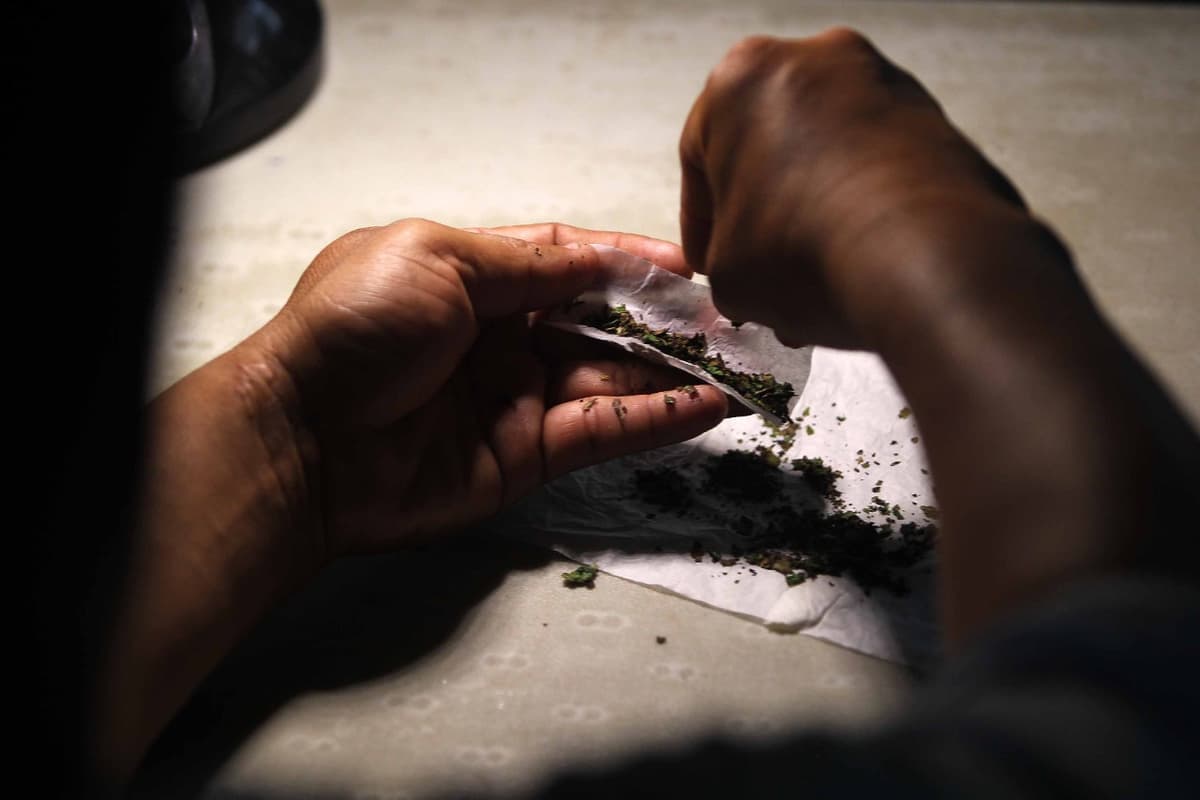 Advierten riesgos por aprobación de uso lúdico de la marihuana