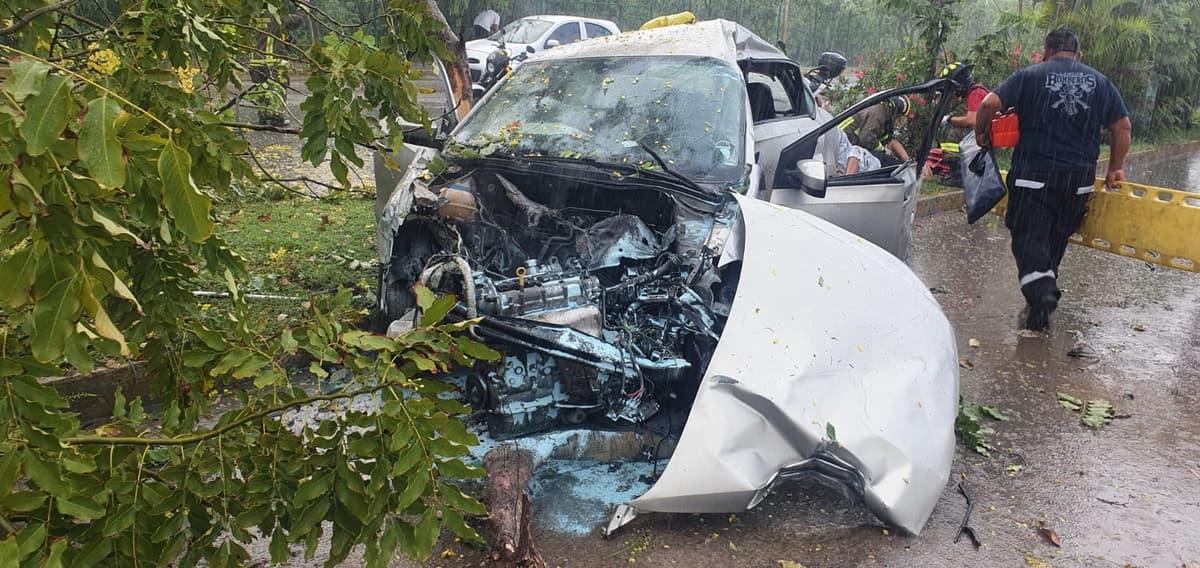 Automovilista patina y choca contra un árbol en Cancún